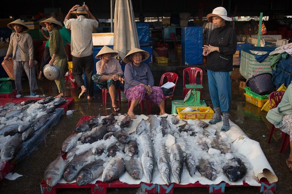Рыбный рынок (2)